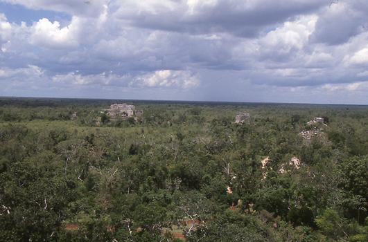 Regenurwald Yukatans