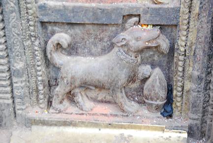 Dog, Bhairava - Temple of Bhaktapur