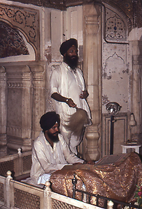 Nocturnal reading in the Golden Temple