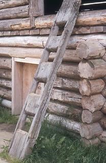 Ladder hewn from a trunk