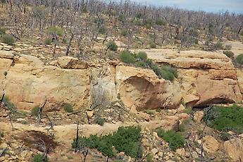 Mesa Verde