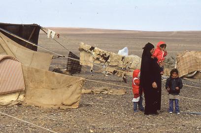 Bedouins