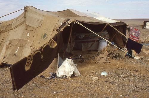 Bedouins