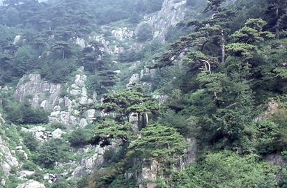 Tai Shan