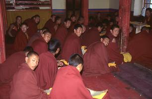 Buddhist monks