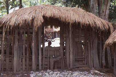 Hütte der Dani