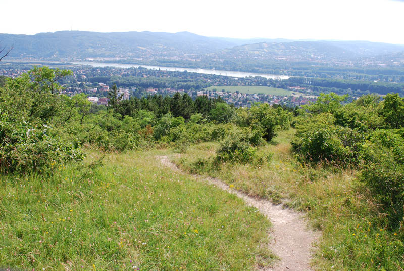 Bisamberg, Flugplatz Chazara briseis, © Foto M. Lödl