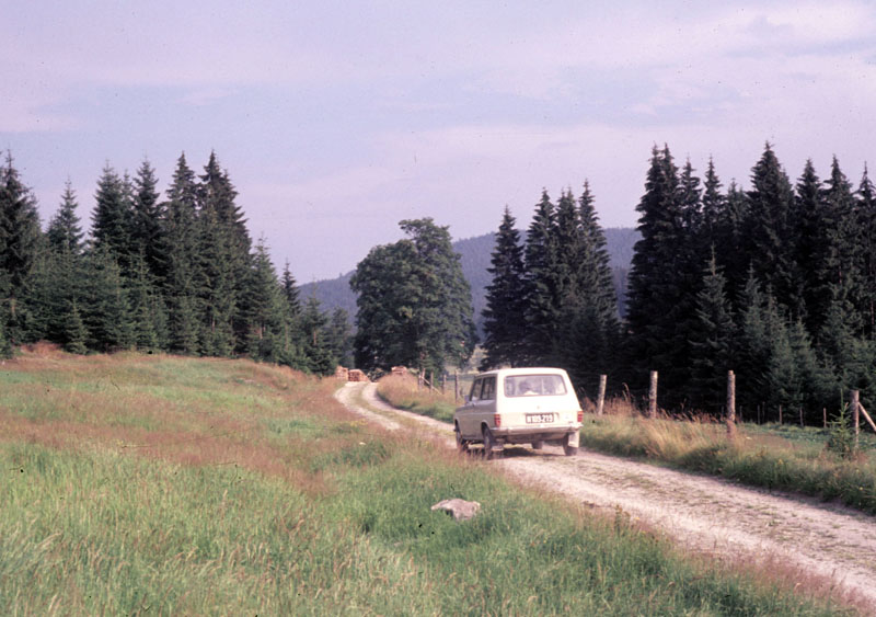 Flugplatz vom Braunen Bär