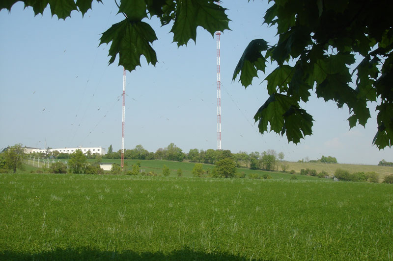 Flugplatz vom Zimtbär