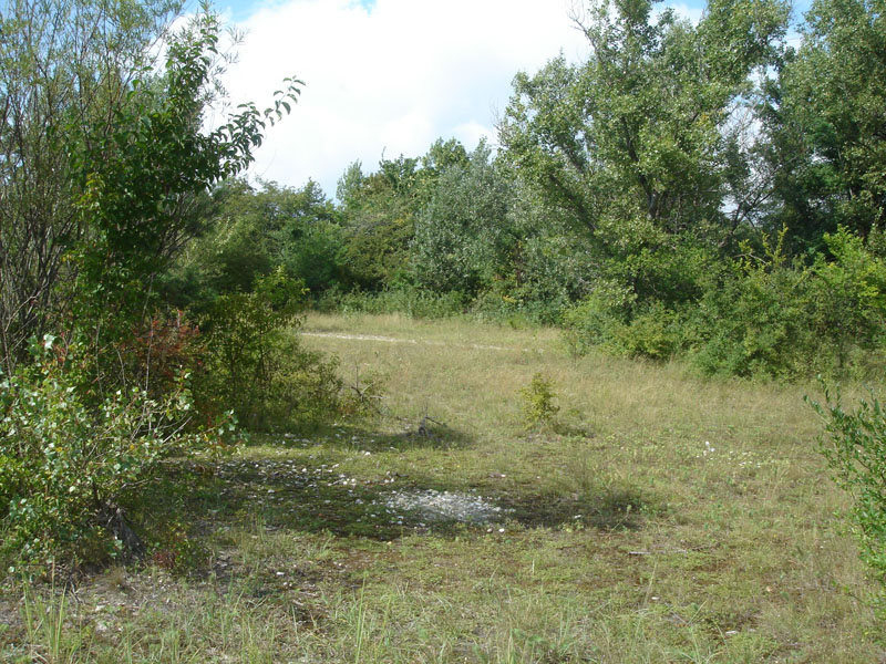 Flugplatz, Lobau, © Foto M. Lödl