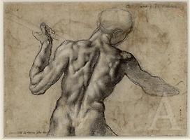 Michelangelo Buonarroti: Männlicher Rückenakt (Verso), um 1504. Schwarze Kreide, weiß gehöht. © Albertina, Wien