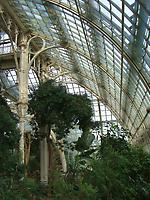 Palmenhaus - Photo Peter Diem