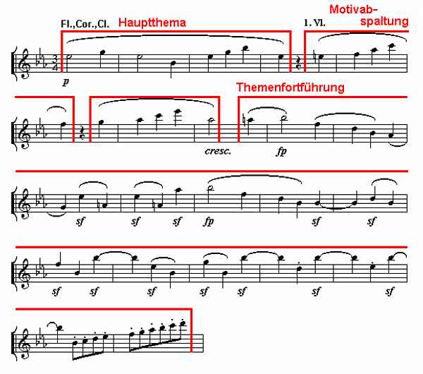 Notenbild: Symphonie Nr. 3 ('Eroica'), 1. Satz, Takte 15-36
