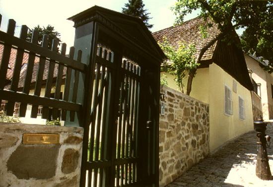 Strauß-Sommerhaus in Salmannsdorf