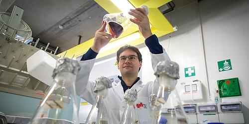 Analysen der TU Graz belegen die effiziente Arbeitsweise der celluloseabbauenden biologischen Nanomaschine Cellulosom. Das kann neue Perspektiven für Anwendungen in industriellen Bioraffinerien liefern.