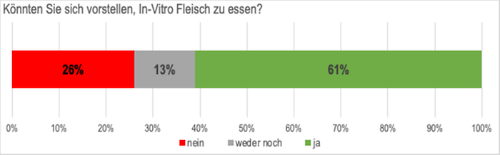 In-Vitro-Fleisch essen