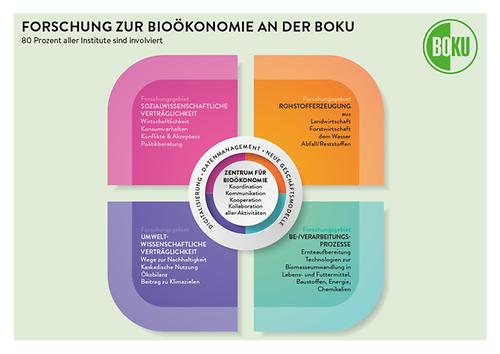 Grafik Forschung zur Biooekonomie an der BOKU