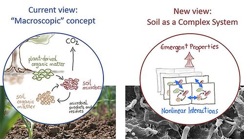 In der linken Grafik ist der große Kohlenstoffkreislauf dargestellt, der bereits gut erforscht ist. Die rechte Darstellung zeigt das Forschungsgebiet von Christina Kaiser, die Boden als komplexes System auf der Mikroebene untersucht.