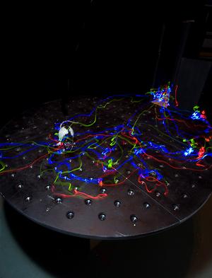 Langzeitbelichtete Aufnahme eines Erinnerungsexperiments in einem Cheeseboard-Labyrinth