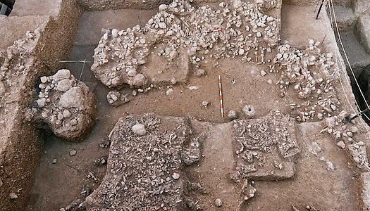 Bei Grabungen in acht Metern Tiefe in Nesher-Ramla in Israel fanden Forscher*innen neben Tierknochen und Steinwerkzeugen..