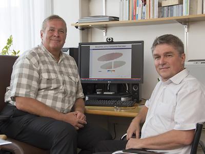 Die 'Spin-Doktoren': Prof. Siegfried Selberherr (links) und Dr. Viktor Sverdlov