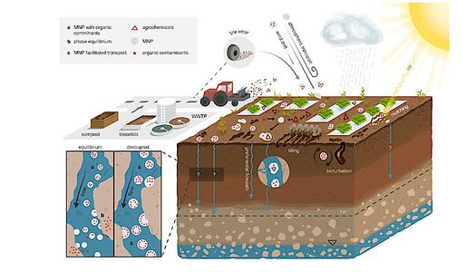 Die Umweltgeowissenschafter*innen des Zentrums für Mikrobiologie und Umweltsystemwissenschaft haben für ihre Untersuchung eine Vielzahl von Parametern, die zur Plastikverschmutzung in Ackerböden beitragen, in den Blick genommen und für unterschiedliche Szenarien berechnet, ob Nano- und Mikroplastikpartikel Schadstoffe bis ins Grundwasser transportieren. Das Ergebnis zeigt: Sie tun es nicht