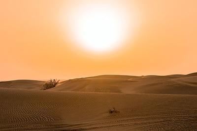 Gluthitze ist in Afrika in den letzten zwei Jahrzehnten wesentlich häufiger geworden. Verantwortlich sind die Emissionen der Industriestaaten.