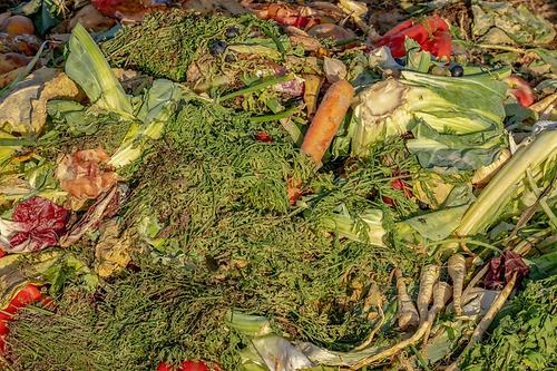 Eine Million Tonnen Lebensmittel landen jährlich im Müll