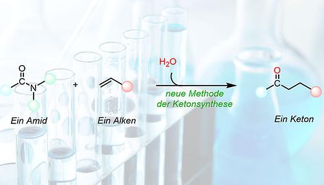 Abbildung 2: Eine neue Methode für die Synthese von Ketonen aus Amiden wurde entwickelt