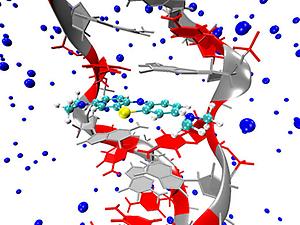 Dem Team um Juan J. Nogueira, Markus Oppel und Leticia González ist es gelungen, den Mechanismus der Singlettsauerstofferzeugung von Methylenblau, eingebettet in den DNA-Strang, aufzuklären. Dadurch lassen sich Hinweise ziehen, wie das Medikament durch gezielte Modifikation in seiner Wirksamkeit im Rahmen der Photodynamischen Therapie verbessert werden kann.