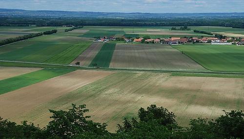 Je intensiver die Landnutzung desto gravierender ihre Folgen für die Biodiversität. Ausgeräumte Agrarlandschaften bieten weniger Tier- und Pflanzenarten geeigneten Lebensraum.