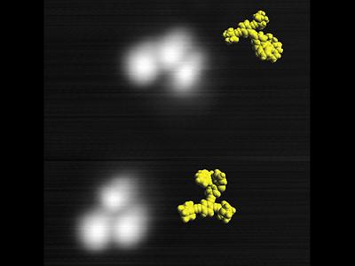 Zwei Nano-Maschinen (weiß) auf einer 8x8 Nanometer großen Kupferoberfläche (grau), aufgenommen bei -267° mit einem Rastertunnelmikroskop