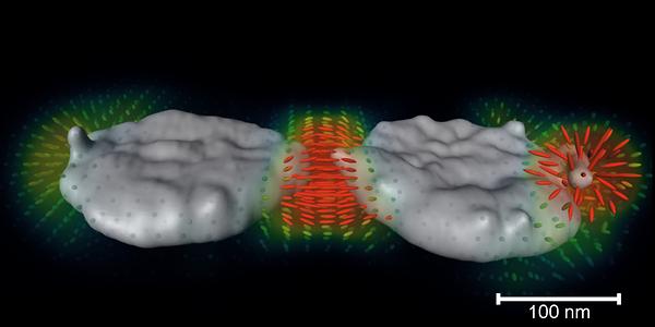 3D Darstellung von Plasmonenfelder an Nanopartikeln