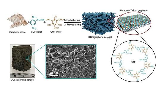 Abb. 2: a) Das Syntheseverfahren für ultradünnes COF/Graphen-Aerogel. Ein ultradünnes COF mit Sulfonat-Ionen mit einer Dicke von 2 nm, das auf Graphen verankert ist. (b) Foto und SEM-Bild des ultradünnen COF/Graphen-Aerogels. Das Aerogel mit einer ultraniedrigen Dichte von 7,1 mg cm-3 zeigt makroporöse Kanäle.