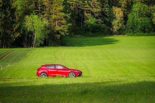 Auto auf Feldweg im Grünen