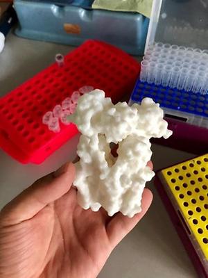 3D-Print des Enzyms Transhydrogenase