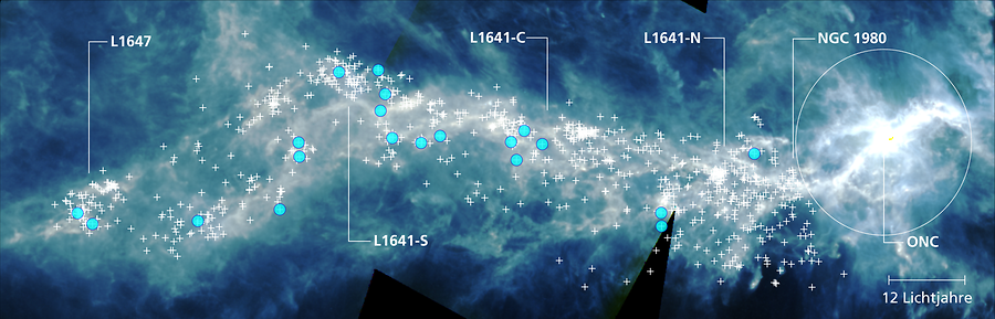 Orion - Eine Sternentstehungswolke in einer Entfernung von etwa 1350 Lichtjahren, beobachtet vom SPIRE-Instrument (Spectral and Photometric Imaging Receiver) an Bord des Herschel-Weltraumteleskops. Es zeigt die großräumige Verteilung von kaltem Staub. Die einzelnen Sternentstehungsgebiete sind durch ihre Beschriftung gekennzeichnet. Die Standorte der mit ALMA beobachteten planetenbildenden Scheiben (+) sind angegeben, während Scheiben mit Staubmassen über 100 Erdmassen als blaue Punkte erscheinen. Der berühmte Orionnebel, der mit bloßem Auge am Himmel zu sehen ist, beherbergt den Orion Nebula Cluster (ONC), der mehrere massereiche Sterne beherbergt, die intensive Strahlung aussenden.