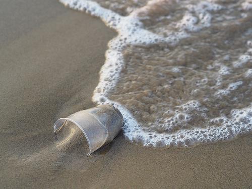 Plastikbecher im Meer