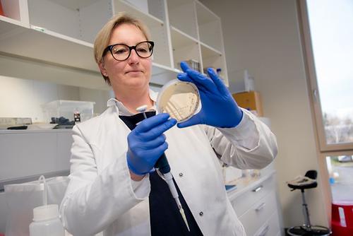 Doris Ribitsch forscht am Institut für Umweltbiotechnologie an der BOKU in Tulln