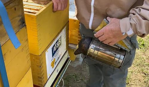 Smarte Tools für fleißige Bienen