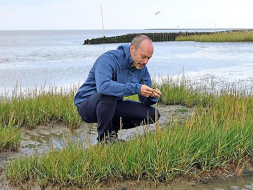 Tobias Pfingstl bei der Feldforschung in Japan: Der Biologe hat mit seinem Team Biodiversität und Klimawandel untersucht.