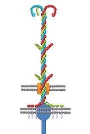 Modell des Nano-Enterhakens