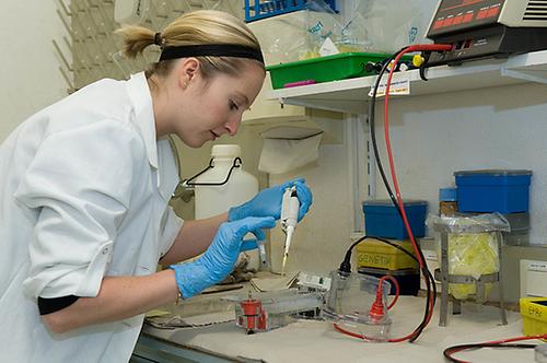 Eine Studentin experimentiert im Labor
