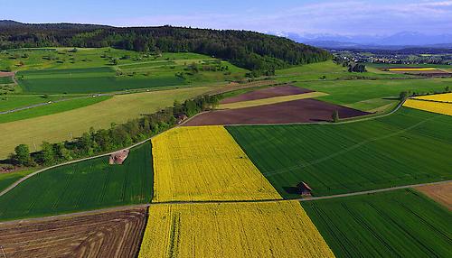 Eine internationale Umfrage zeigt unterschiedliche Wahrnehmungen aus Wissenschaft und Praxis in Bezug auf landwirtschaftliche Biodiversität, Ökosytemleistungen und Entscheidungsprozesse auf