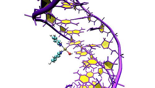 Computersimulation des Angriffs von Pt103 an den DNA-Doppelhelix