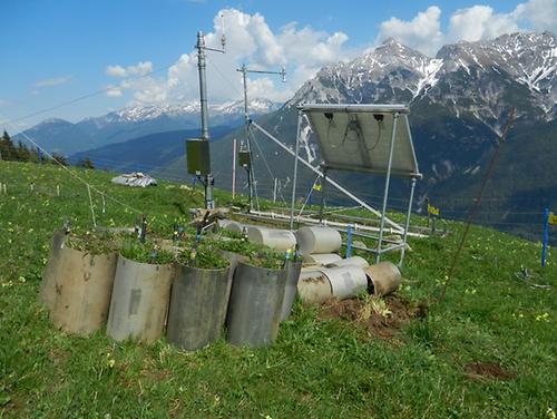 Für die Studie wurden auf einer Alm im Tiroler Stubaital Grünlandmonolithen entnommen.