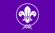 Bild 'worldscouts'