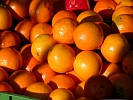 Bild 'Orangen'