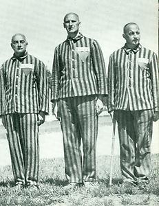 KZ-Häftlinge Zellberg, Stepan, Gorbach in Dachau (mit Klick vergrößern!) © Landesbildstelle Steiermark