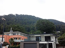 Eichengruppe am Wolfsgartenweg